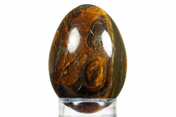 Marra Mamba (Packsaddle) Tiger's Eye Egg - Mt Brockman #308857